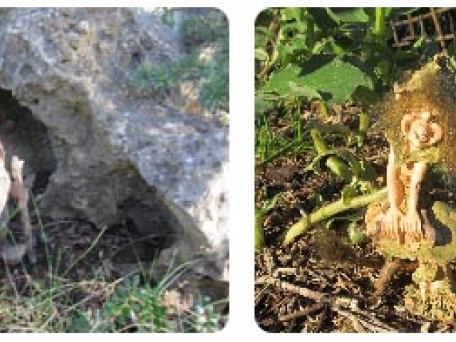 Esprits de la nature